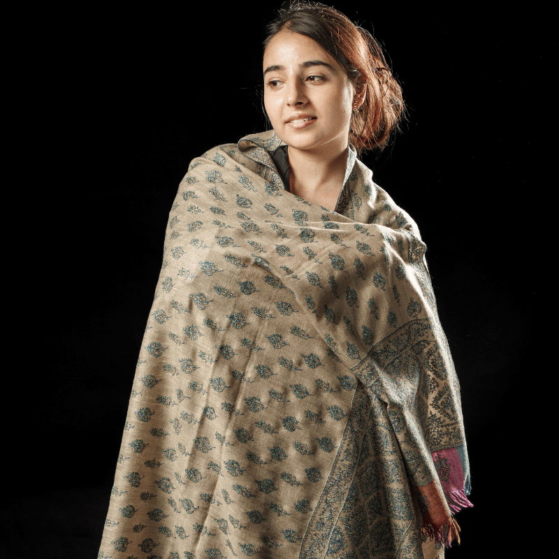 Soft Green Embroidery with Multicolured Patched Weaved Border Pashmina Shawl