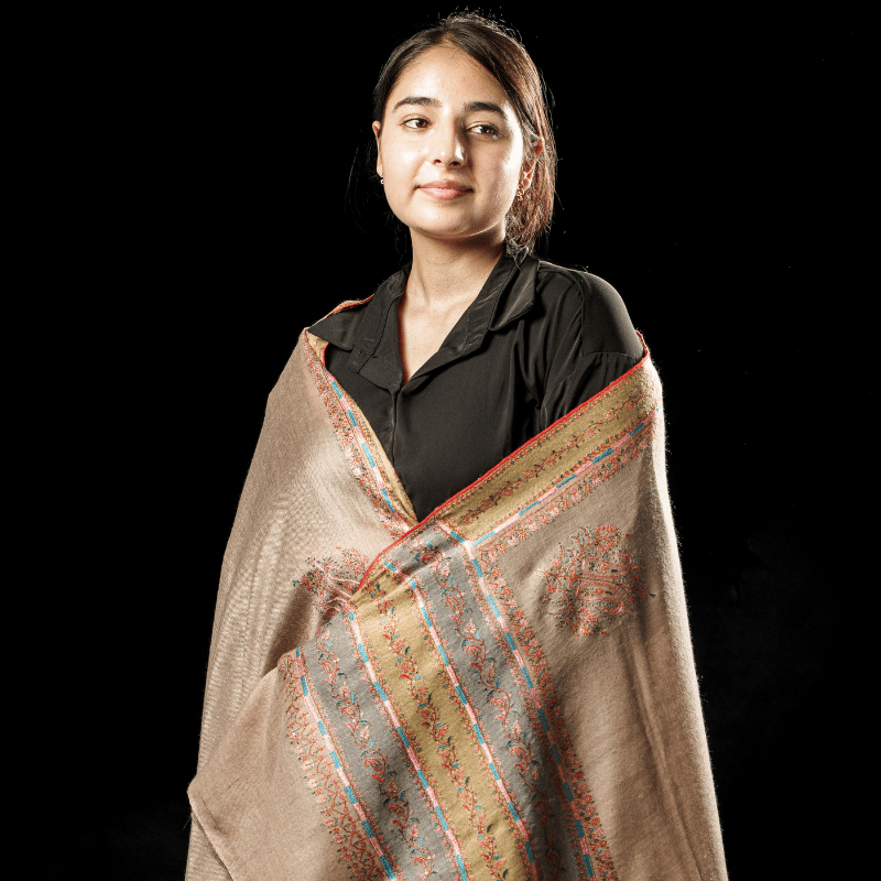 Walnut Brown Embroidered Lace Pashmina Shawl