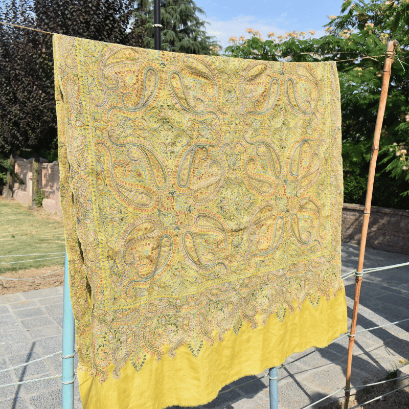 Yellow Autum Bloom Pashmina