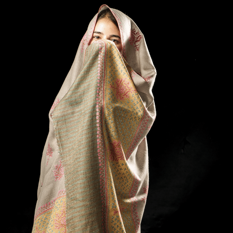 Beige Embroidered Motifs with Patched Palla Shawl - Image 2